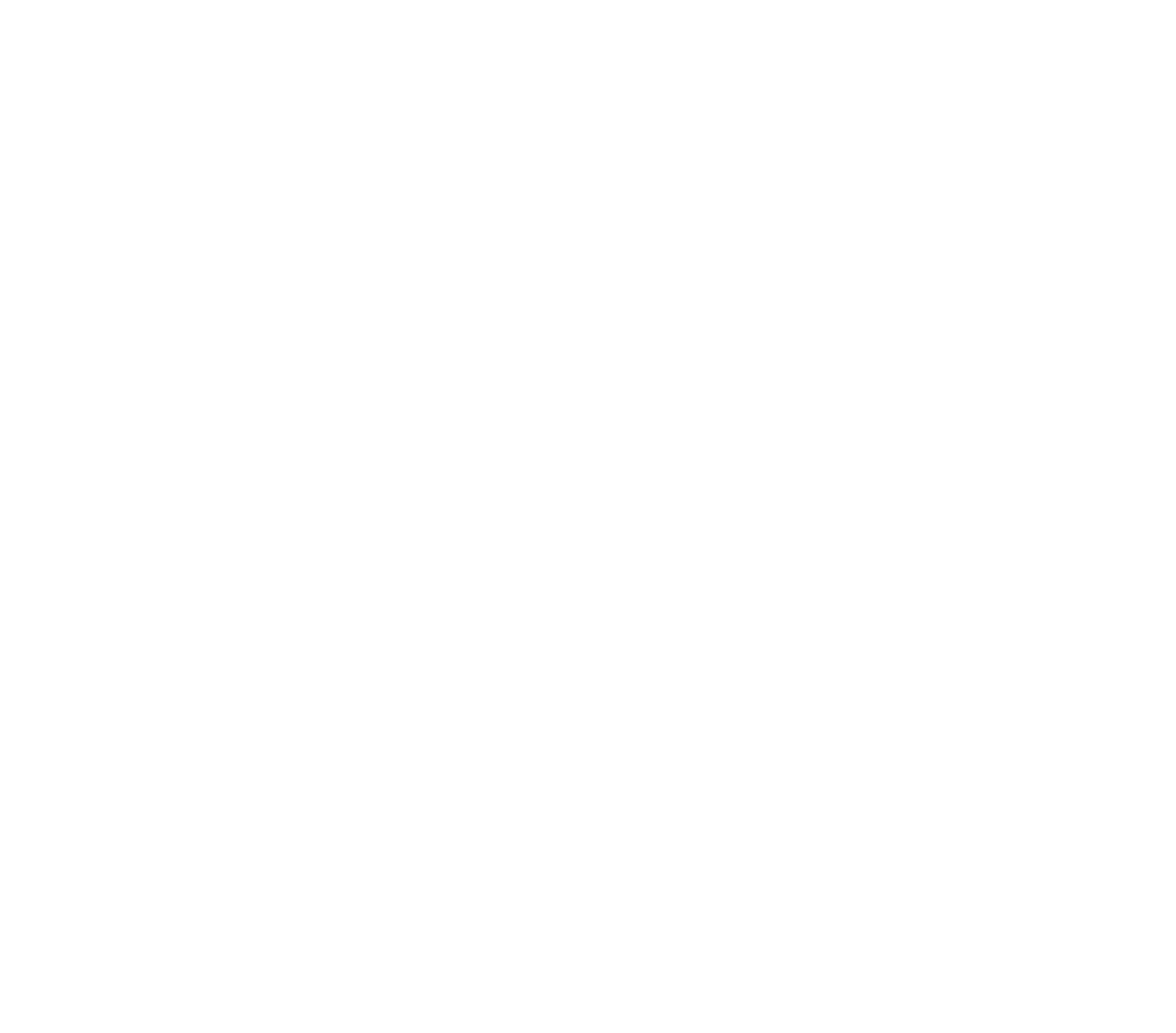 Buser logo